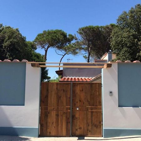 Viareggina Con Giardino Διαμέρισμα Marina Di Pisa Εξωτερικό φωτογραφία