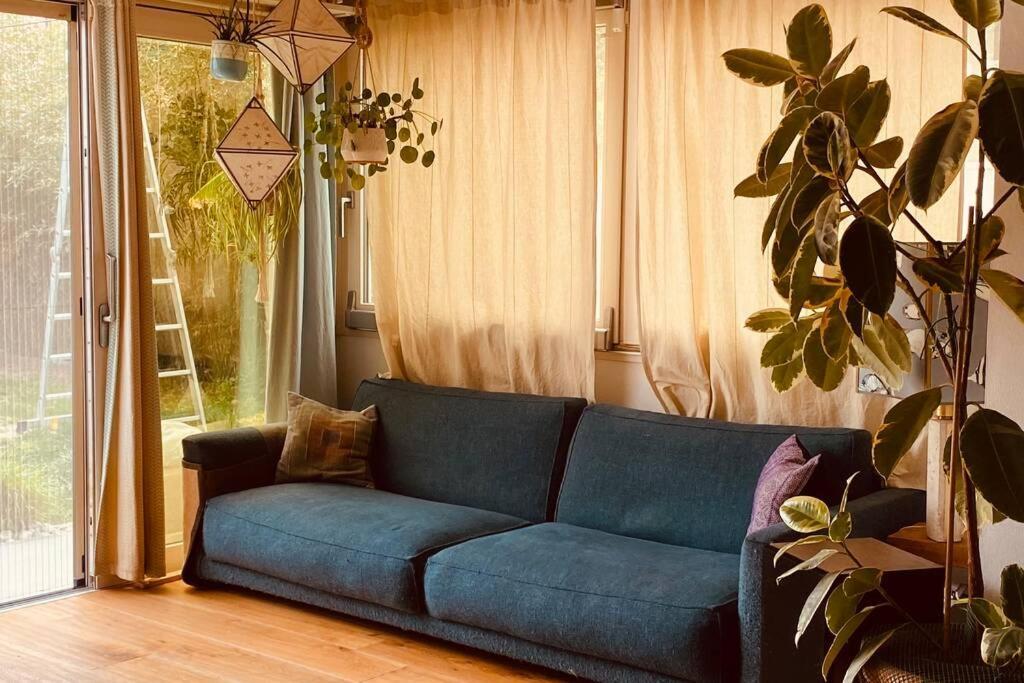 Viareggina Con Giardino Διαμέρισμα Marina Di Pisa Εξωτερικό φωτογραφία