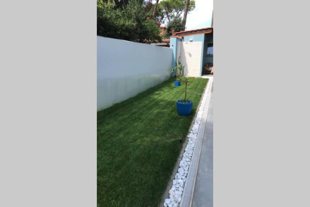 Viareggina Con Giardino Διαμέρισμα Marina Di Pisa Εξωτερικό φωτογραφία